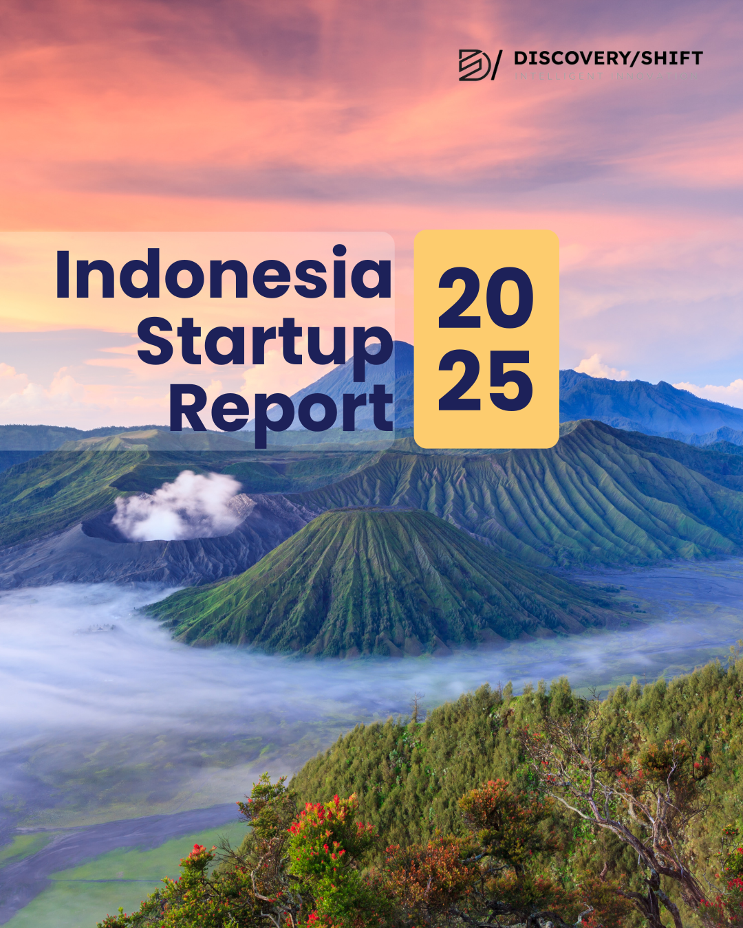 Indonesia Startup Report 2025